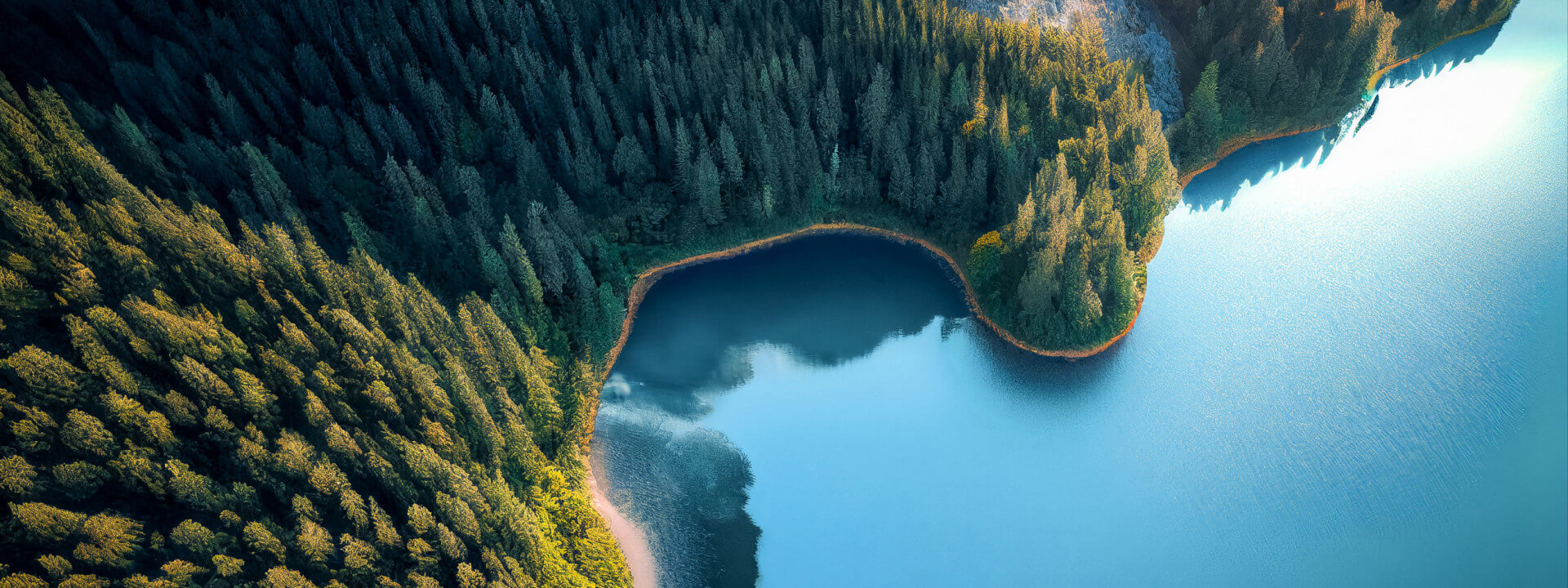 Politikdialog - Mit Entwicklungszusammenarbeit Zukunft gestalten: politisch, fachlich, solidarisch cover image
